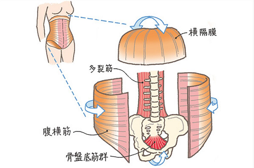wacoalbodybook_163139_02.png