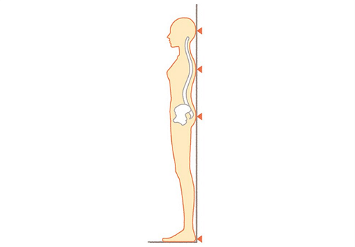 wacoalbodybook_163141_01.png